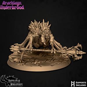Arachlayn Truebreed D