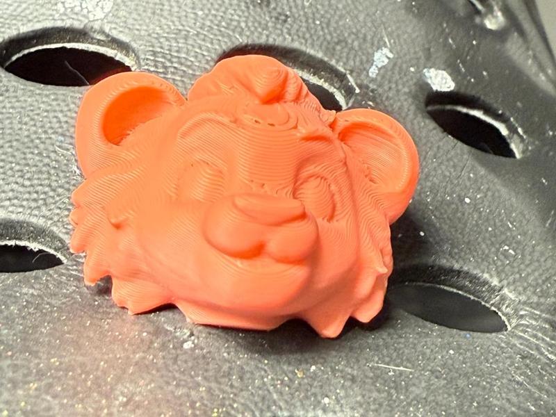 adorable lion head for crocs