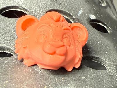adorable lion head for crocs