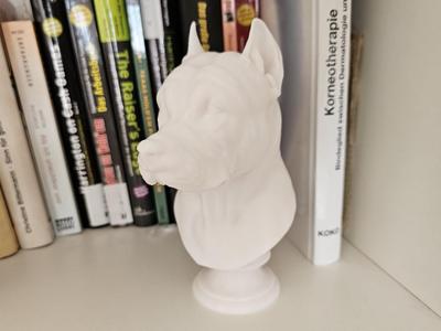 PITBULL BUST