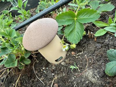 Modular Slug Trap for Invasive Slugs