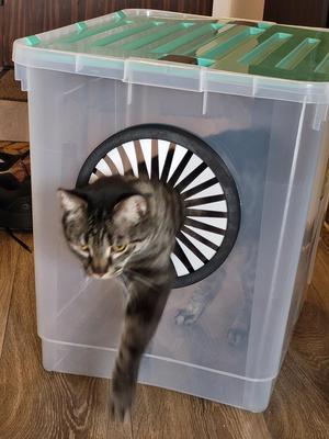 Heidrun 100L box conversion to cat litter box