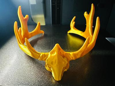 Antler Crown 