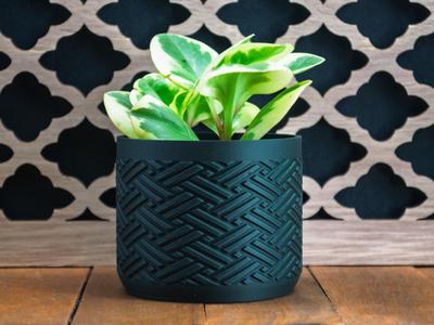 Indoor Plant Pot for Modern Home Decor