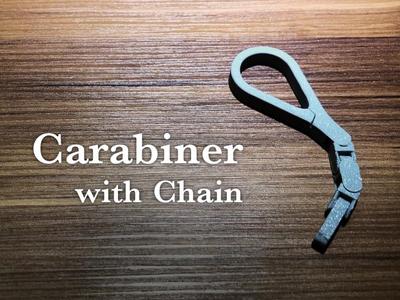Carabiner with Chain