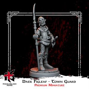 Daek Figleaf - Elf City Guard