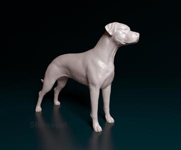 Argentino Dogo