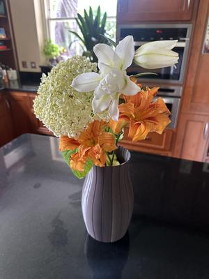 Vase and Drum 2 in 1