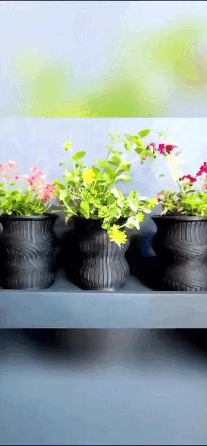 Les colonnes" pots