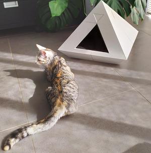 Pyramid cat house