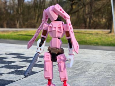 Dummy 13  - Mecha Girl Armor and Frame