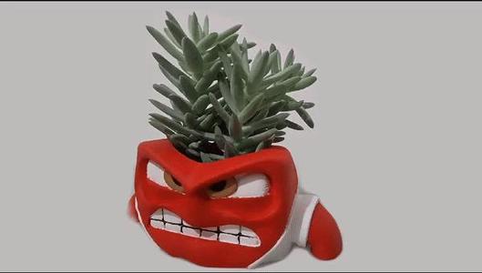 Inside Out Anger Vase