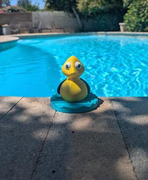 Ducky Ridin Waves