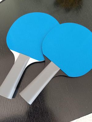 Ping Pong PADDLE