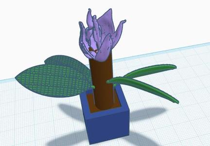 potted plant for your desk or anywhere you want to put it.