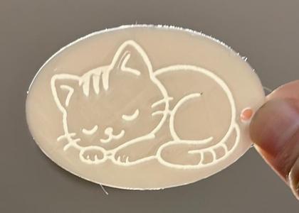 Sleeping Cat Tag