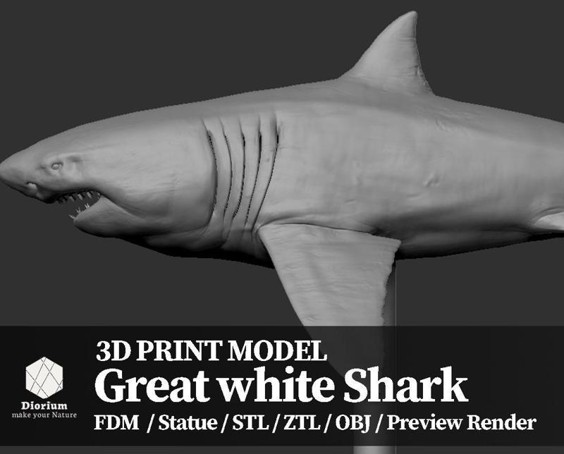 Great white Shark  - 3D Print Model