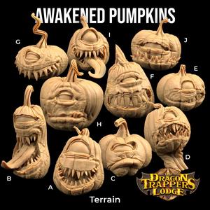Awaked Pumpkins 