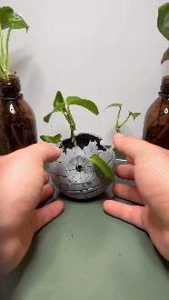 Star Wars Death Star Planter