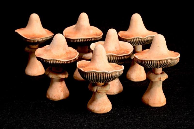 Ubiquitous Mushroom Set 3