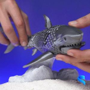 Realistic Articulated Fishes - 7 model set of realistic and diverse articulated models