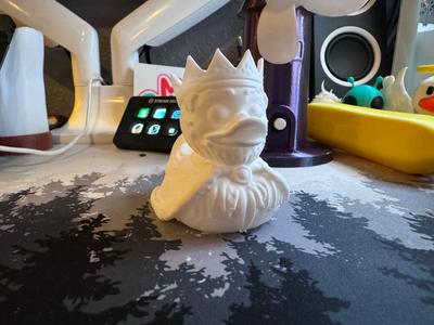 the Royal King Duck