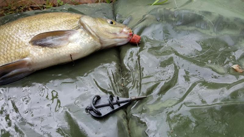 INLINE METHOD FEEDER FISHING