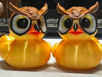 Owl Duck