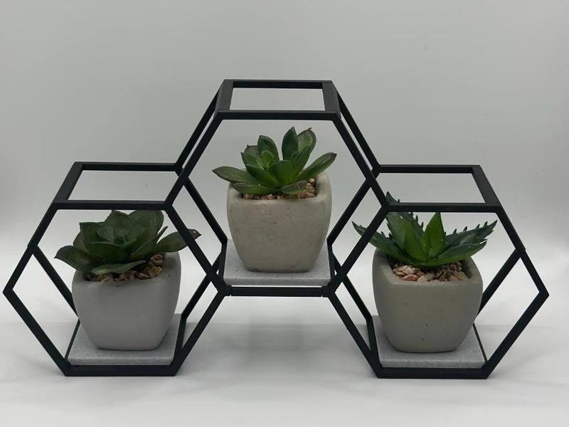 Hexagon Display Stand (Presentation Stand)