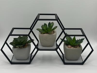 Hexagon Display Stand (Presentation Stand)