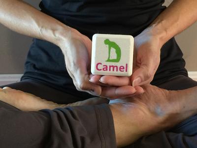 Yoga Dice -Version 2 MMU