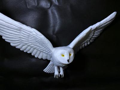 Hedwig Snow owl Harry potter