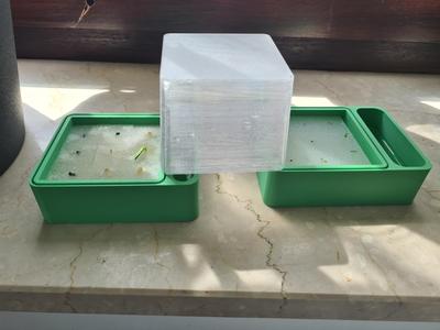 Self watering sponge grow box