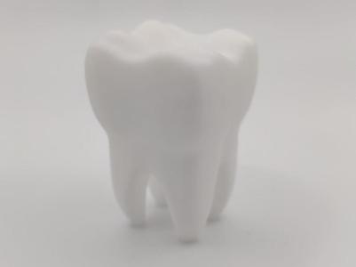 Tooth molar