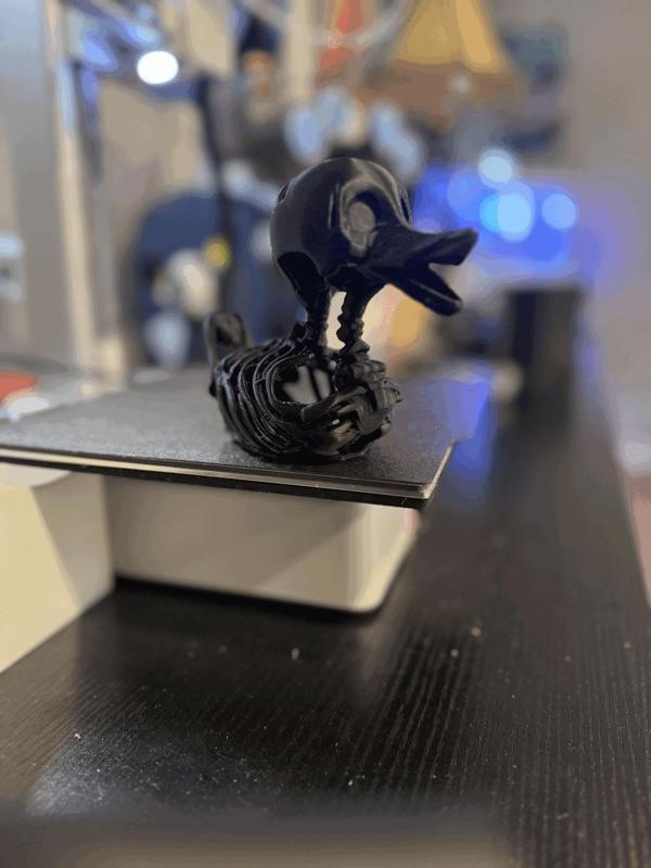 Rubber Duck Skeleton
