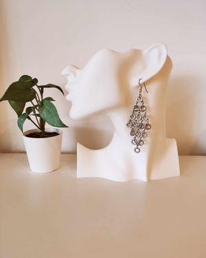 Earrings display