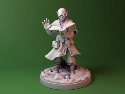 Elf Wizard\Warlock dnd miniature