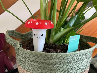 Happy Mushroom Watering Plant Spike