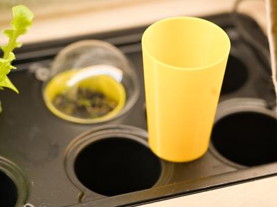 Anzucht-Einsatz / Seedling Tray for Greenbox
