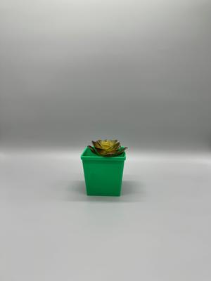 Nursery Planter