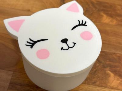 Cat Box