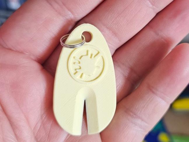 Tick removal keyring