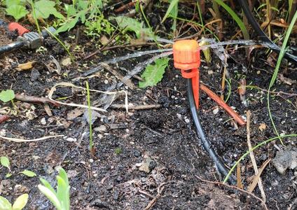 Gardena Micro Drip compatible sprinkler