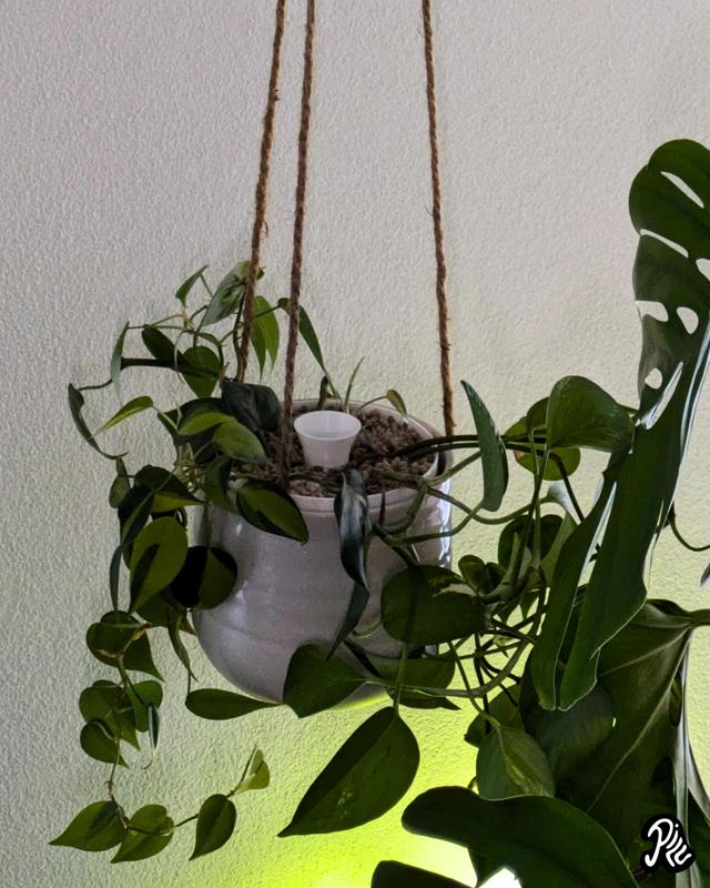 Insert Self-watering Pot