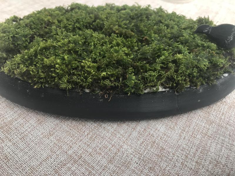 Self-hydrating Moss planter