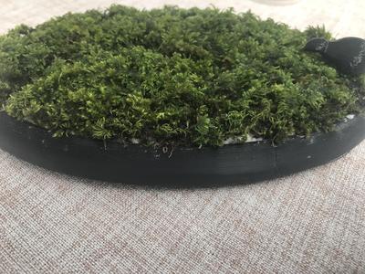 Self-hydrating Moss planter