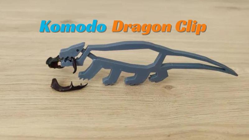 Komodo Dragon Clip
