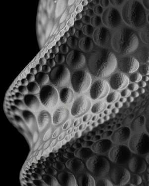 Moon Flower Vase by MODERN MACHINE