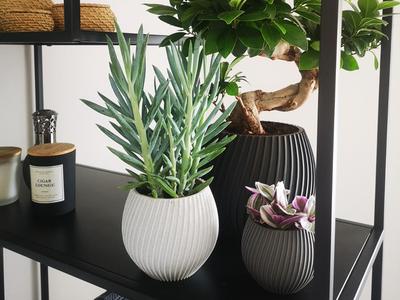 Wave Planter