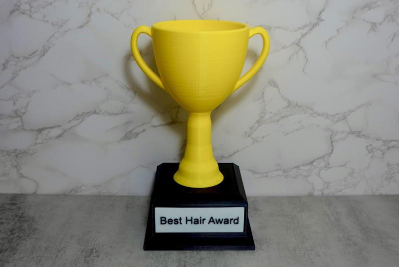 Custom Trophy